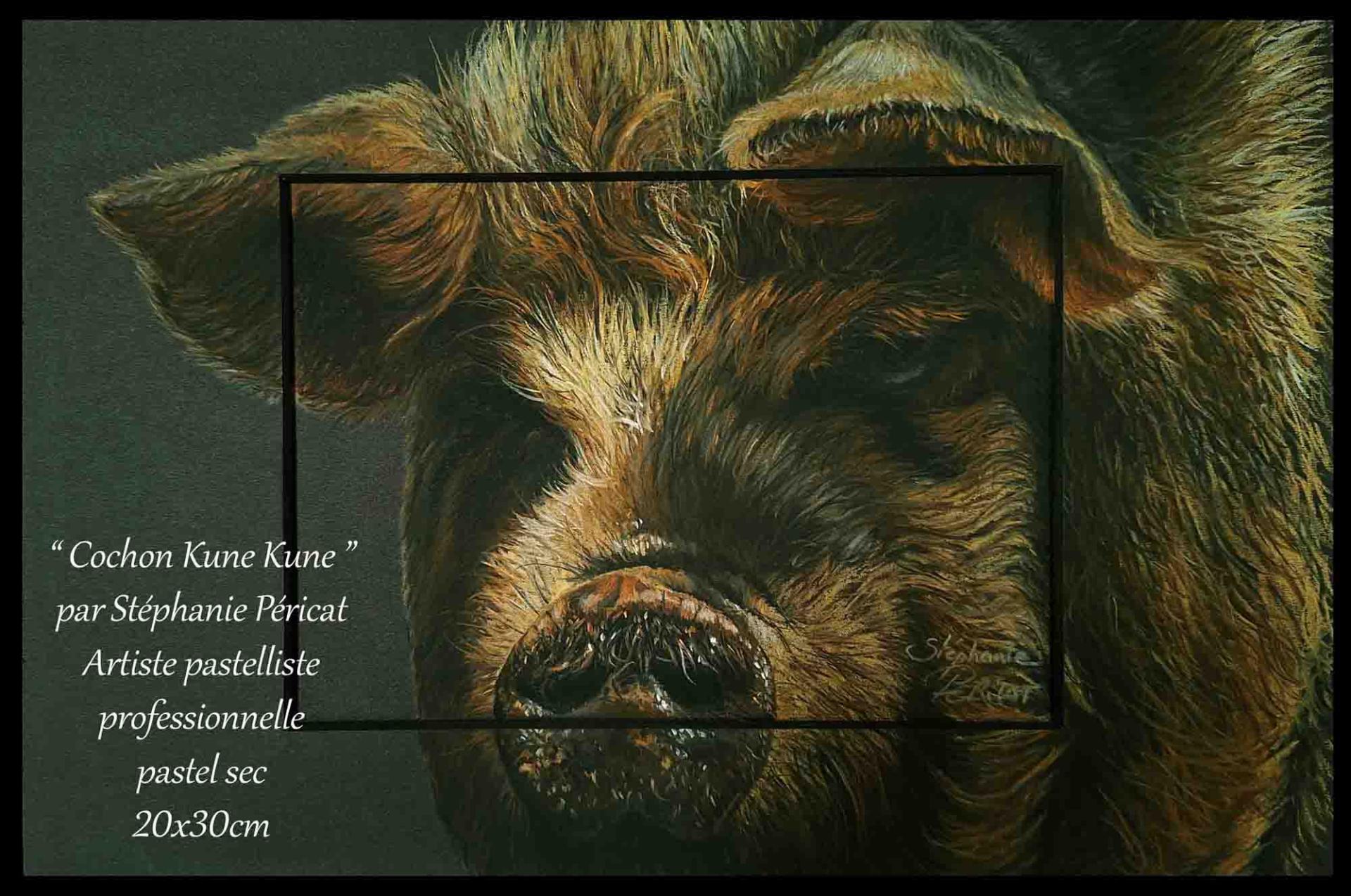 Cochon Kune Kune  -  20 x 30 cm  -  Disponible