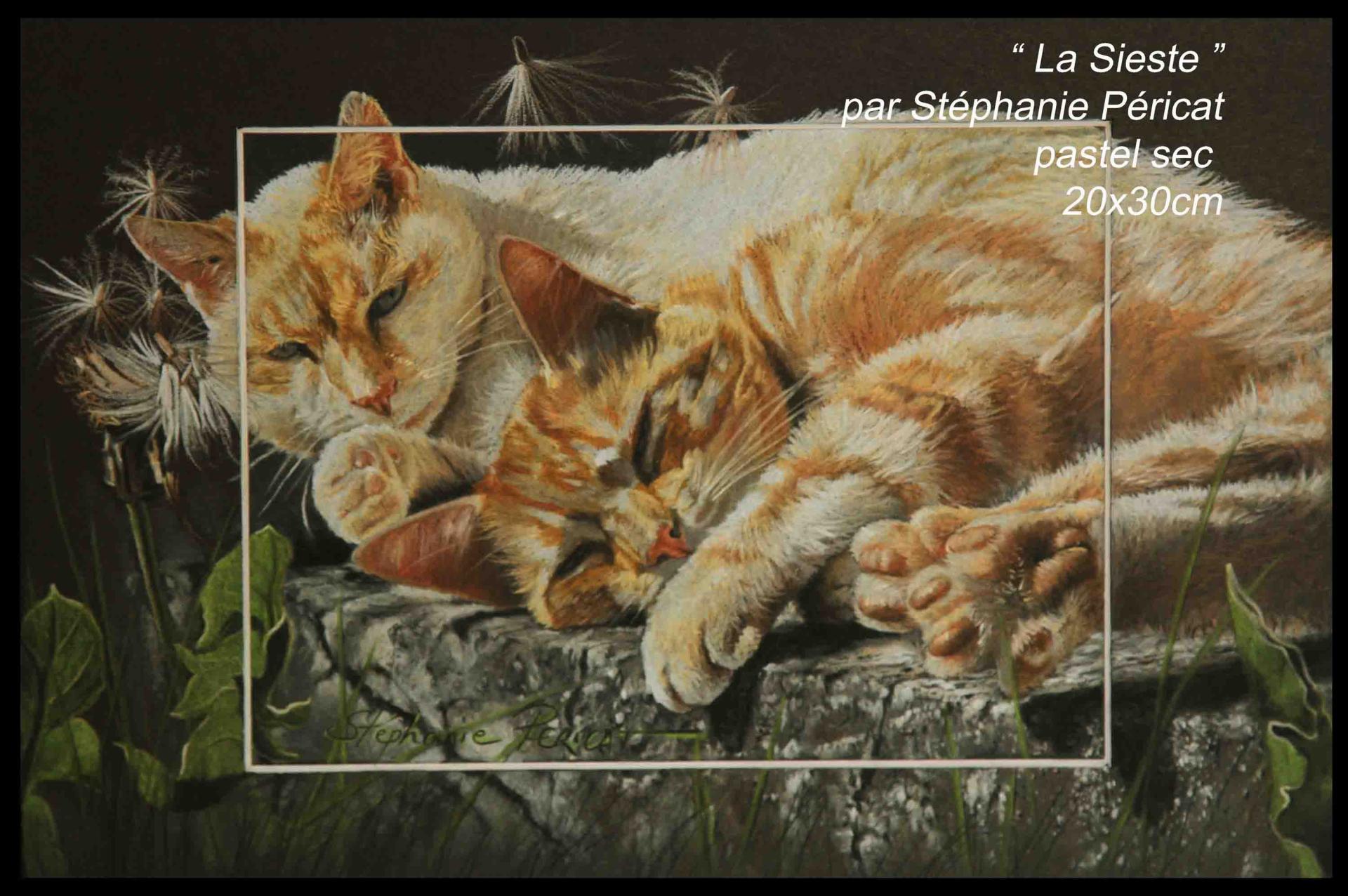 La Sieste  -  20 x 30 cm  -  Disponible