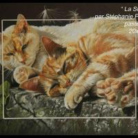 La Sieste  -  20 x 30 cm  -  Disponible