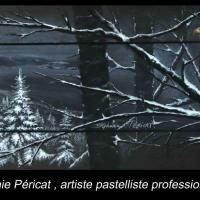 Pygargue en hiver - 20 x 60 cm