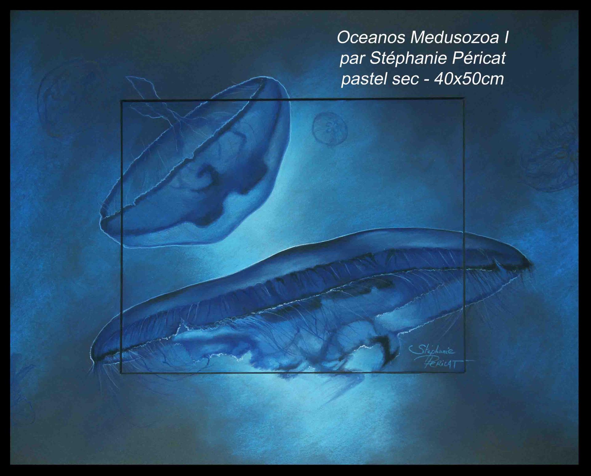 Oceanos Medusozoa I - 40 x 50 cm