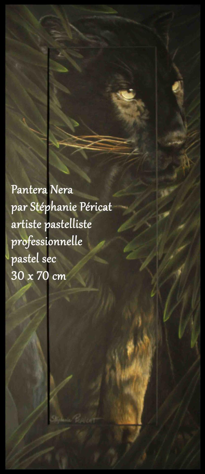 Pantera Nera  -  30 x 70 cm  -  Disponible