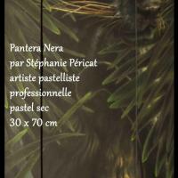 Pantera Nera  -  30 x 70 cm  -  Disponible