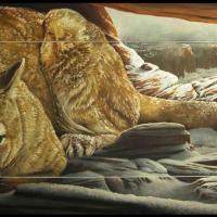 Puma, Matin d'Hiver  -  50 x 100 cm  -  Disponible