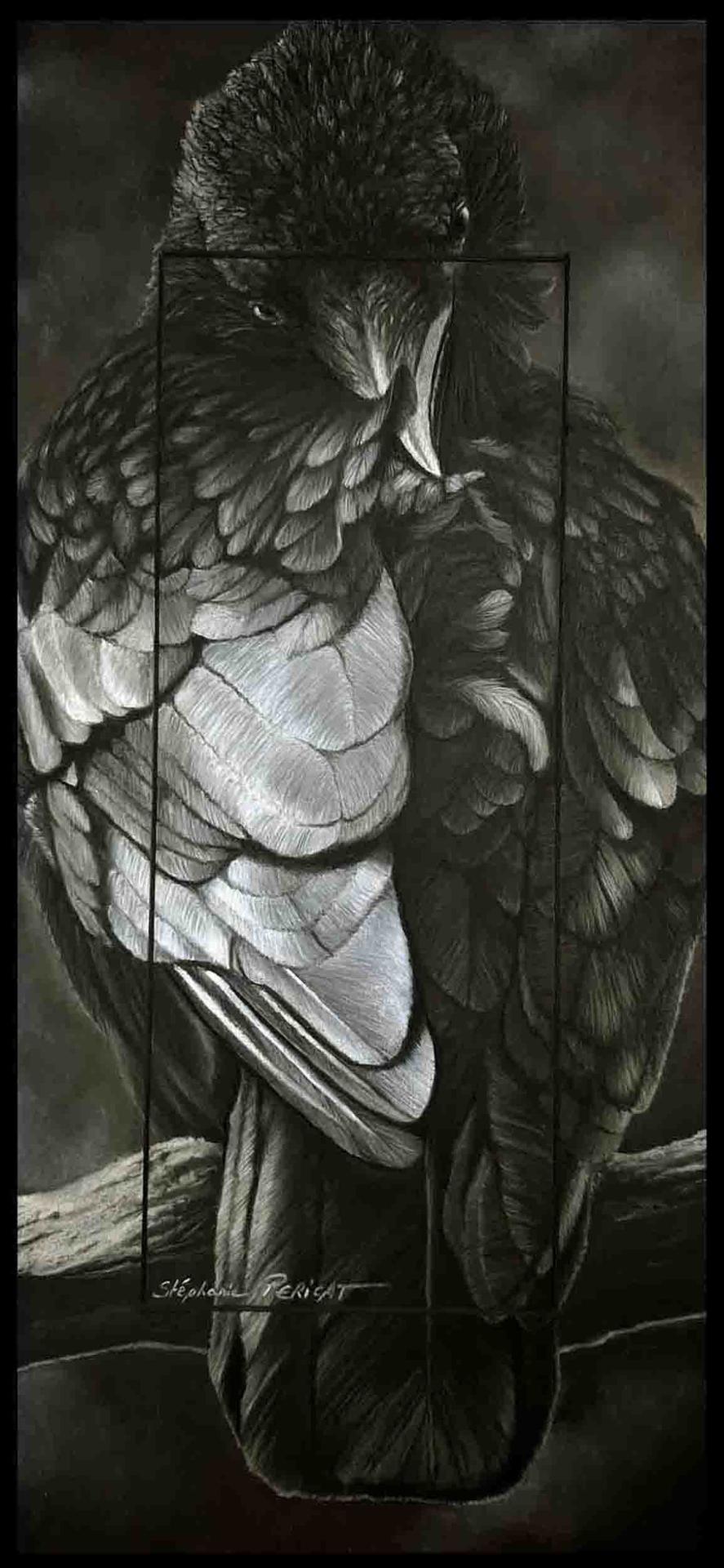Corvus  -  23 x 50 cm  -  disponible