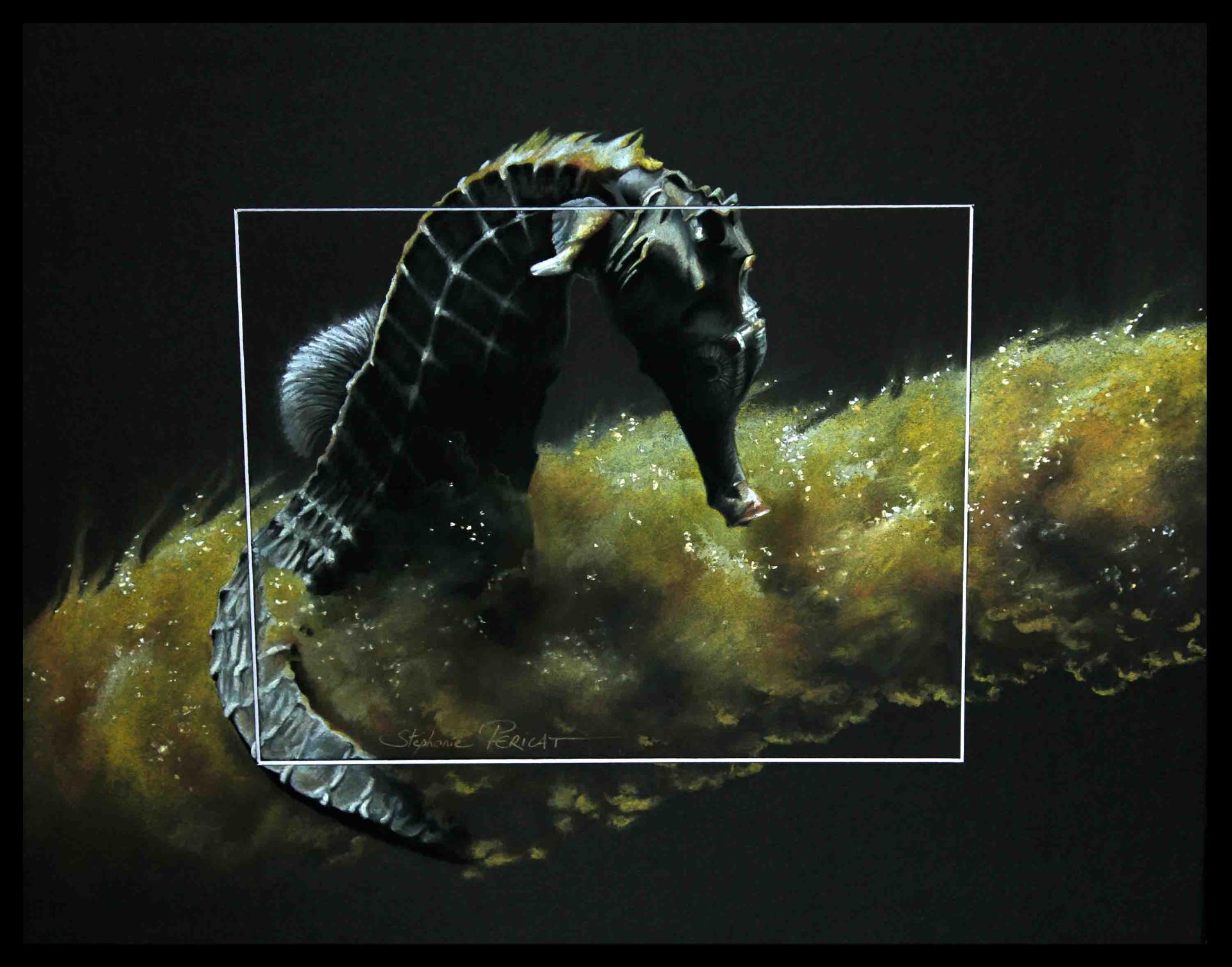 Oceanos Hippocampus I  -  40 x 50 cm - Disponible