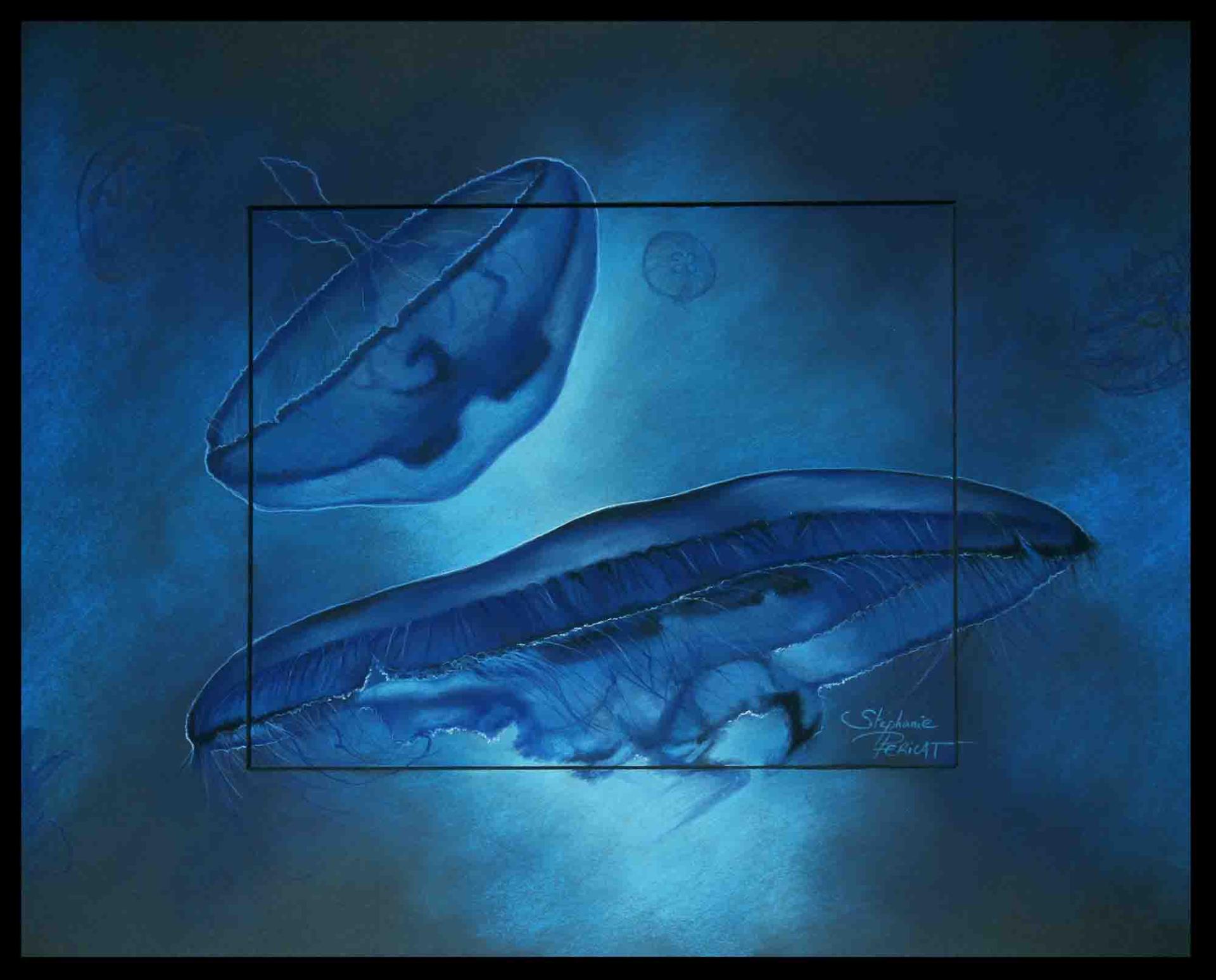 Oceanos Medusozoa I - 40 x 50 cm