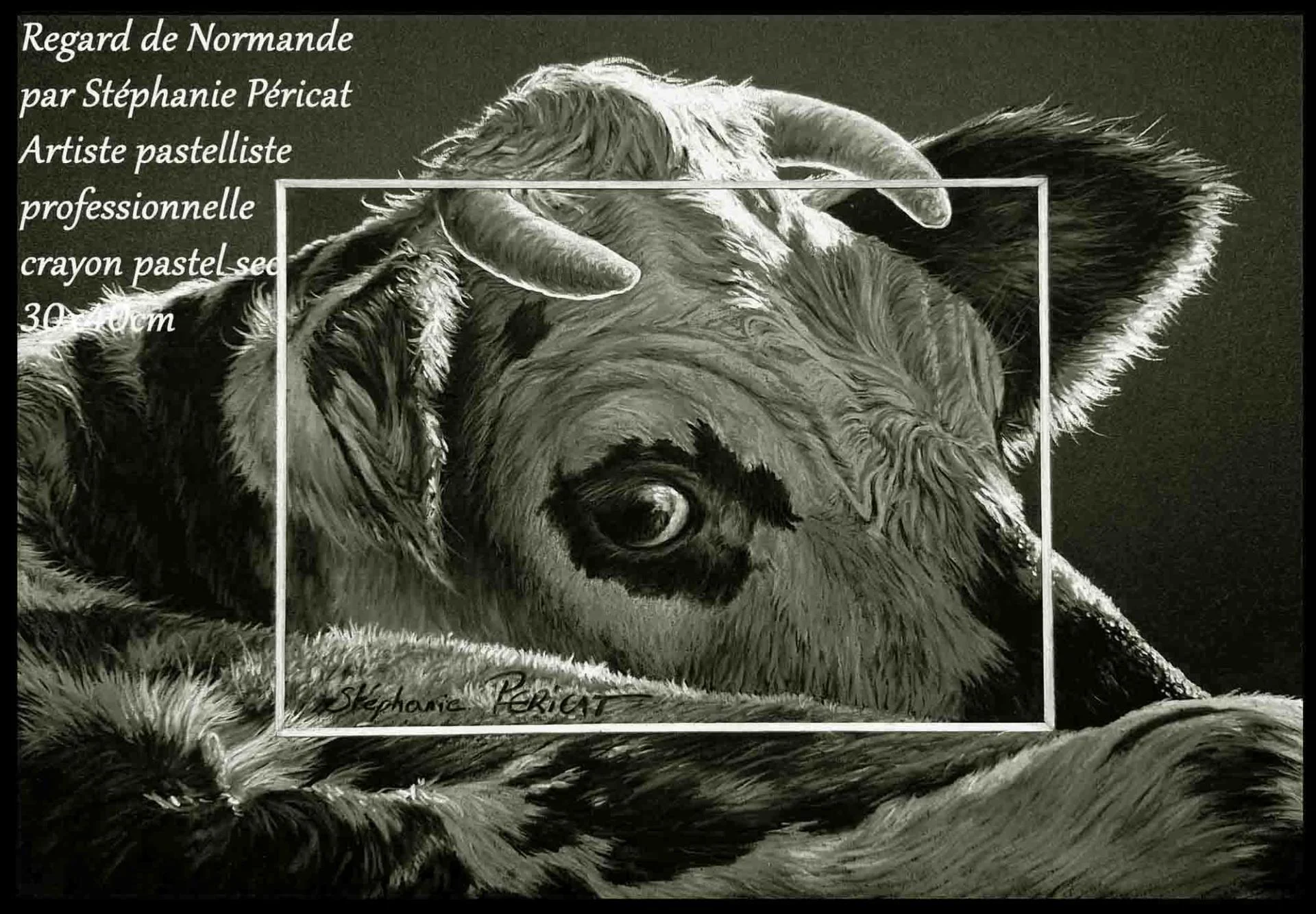 Regard de Normande  -  20 x 30 cm  -  Disponible
